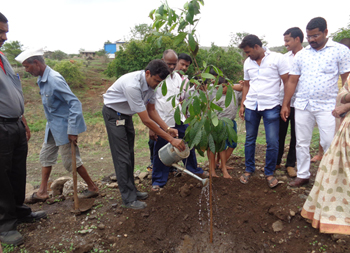 CSR Initiative 2