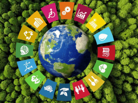 CSR Initiatives