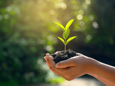 Environmental Stewardship
