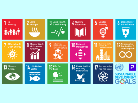 SDGs at RFI